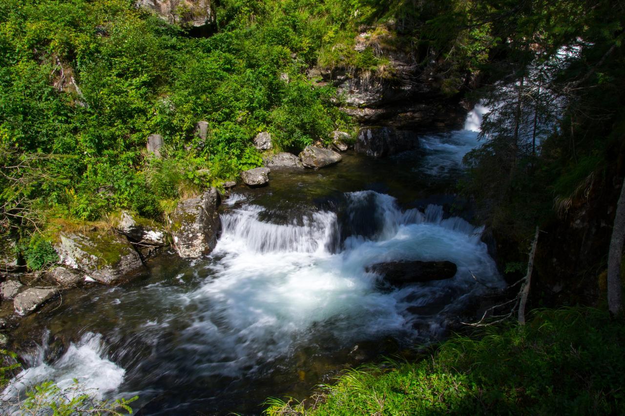 Apartament Sissi Park Haus Im Ennstal - Schladming Zewnętrze zdjęcie